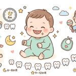 赤ちゃんの歯 本数と生える時期を月齢別に解説 | 2026年版